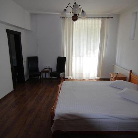 Vila Carpathia 브란 객실 사진