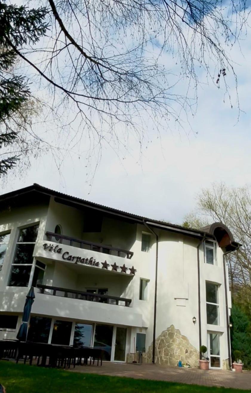 Vila Carpathia 브란 외부 사진