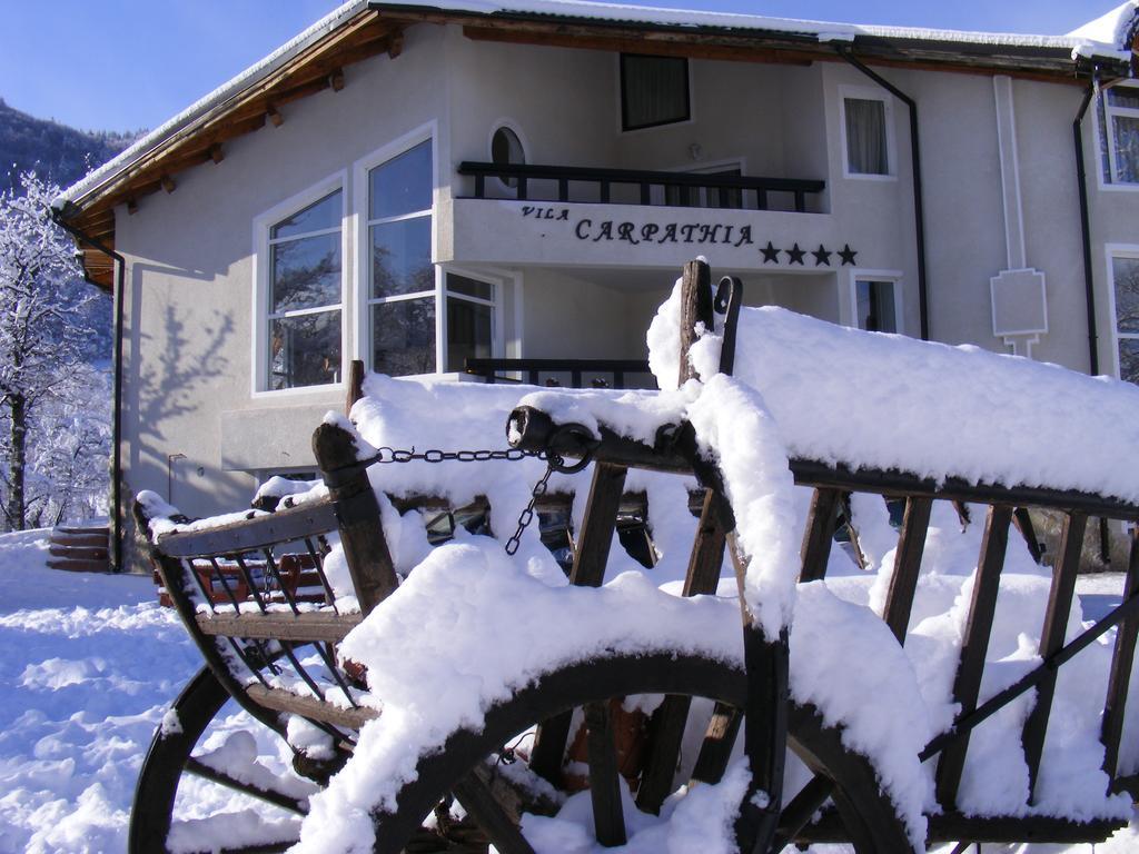 Vila Carpathia 브란 외부 사진
