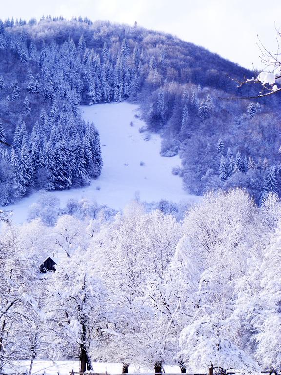 Vila Carpathia 브란 외부 사진