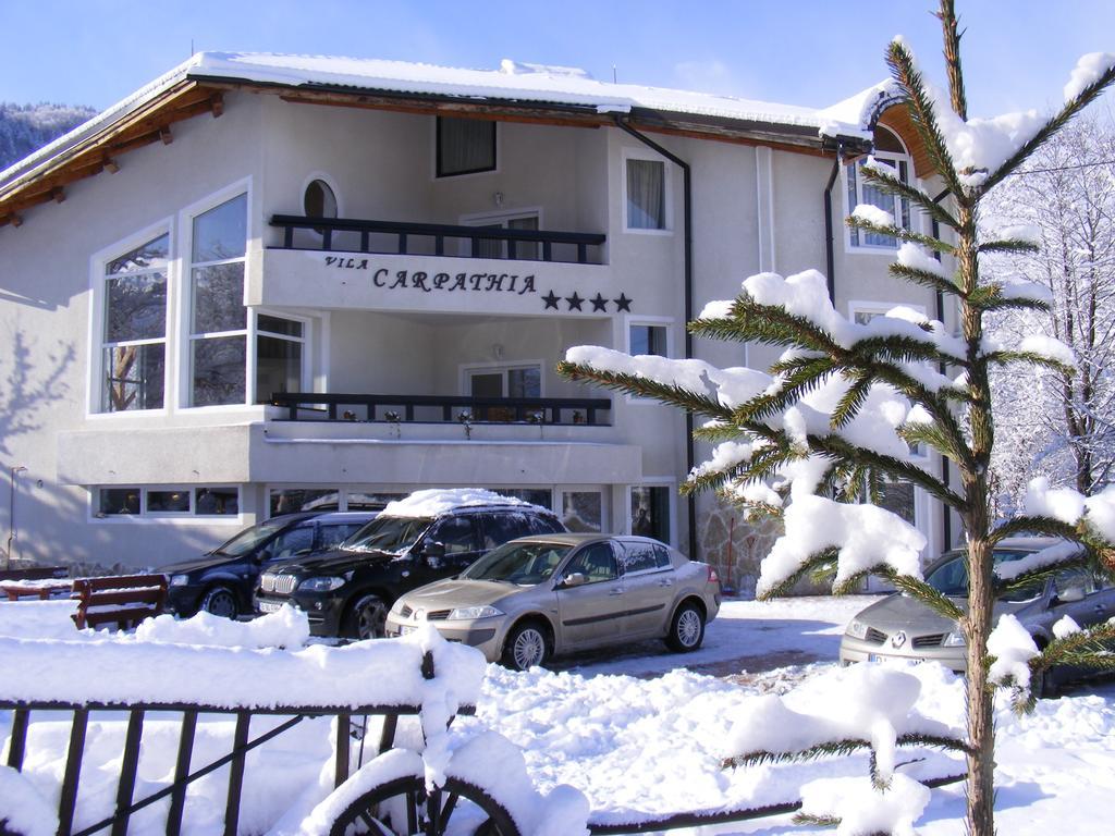 Vila Carpathia 브란 외부 사진