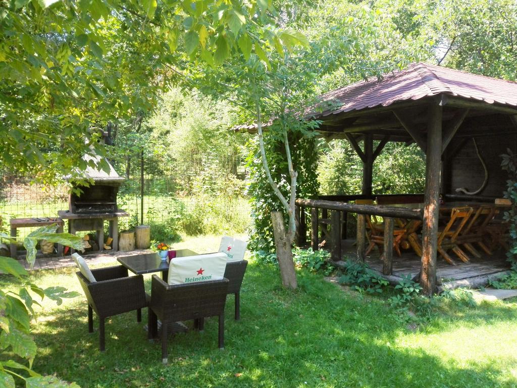 Vila Carpathia 브란 외부 사진